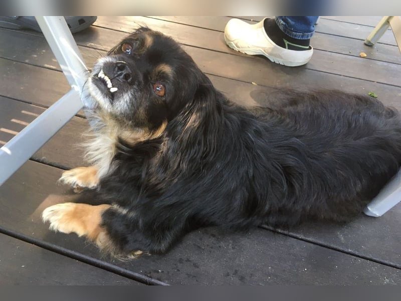 Nannos Charme muss man einfach erliegen! (15345 Reichenow-Möglin)