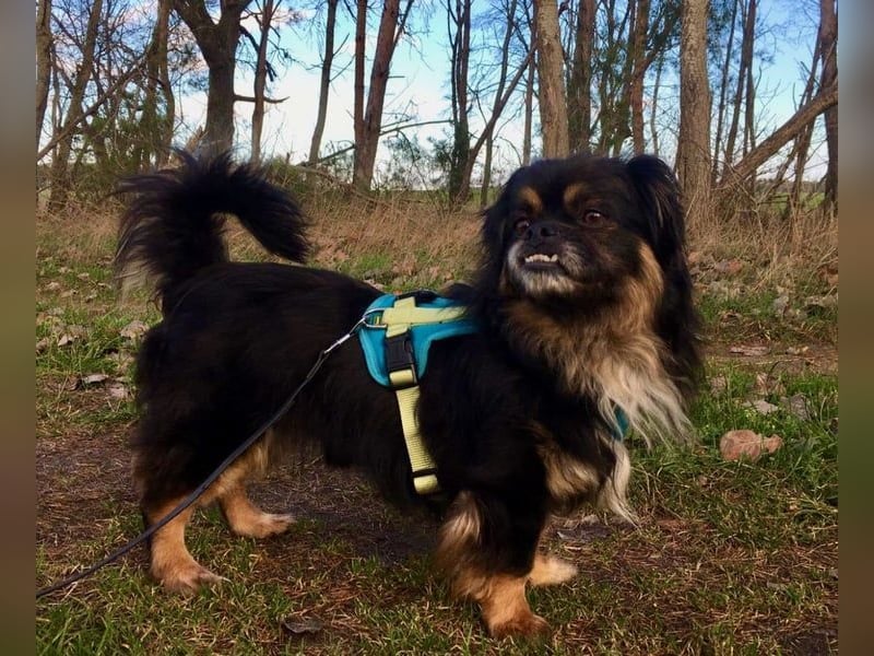 Nannos Charme muss man einfach erliegen! (15345 Reichenow-Möglin)