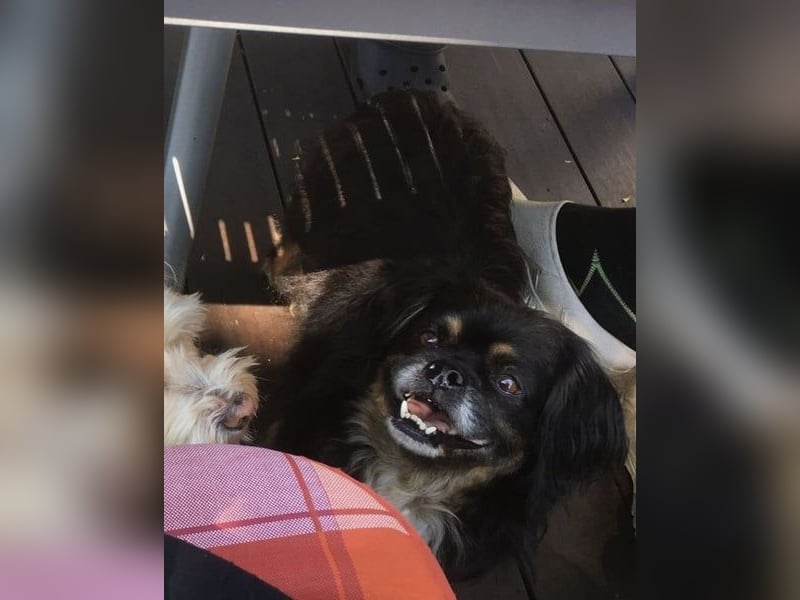 Nannos Charme muss man einfach erliegen! (15345 Reichenow-Möglin)