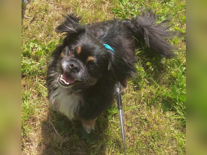 Nannos Charme muss man einfach erliegen! (15345 Reichenow-Möglin)