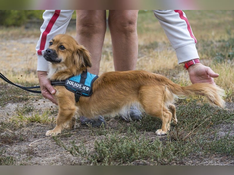 Rozi - einfach zauberhaft