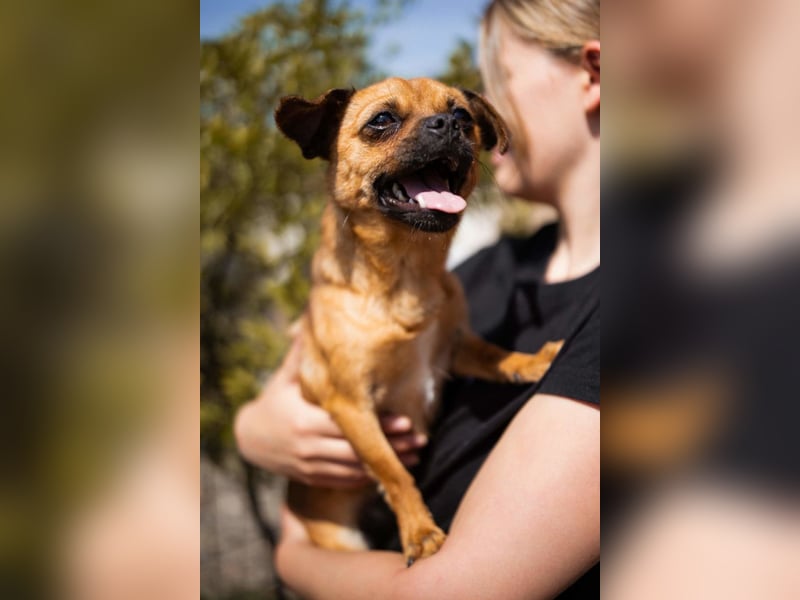 Ellie ❤️ wartet bereits in 48153 Münster auf dich!
