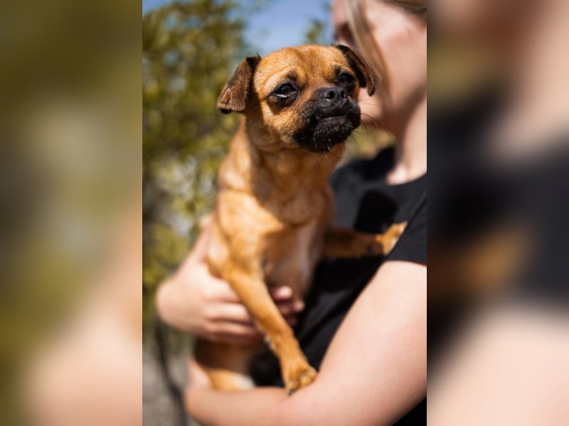 Ellie ❤️ wartet bereits in 48153 Münster auf dich!