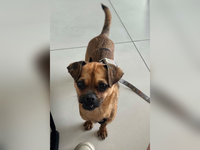 Ellie ❤️ wartet bereits in 48153 Münster auf dich!