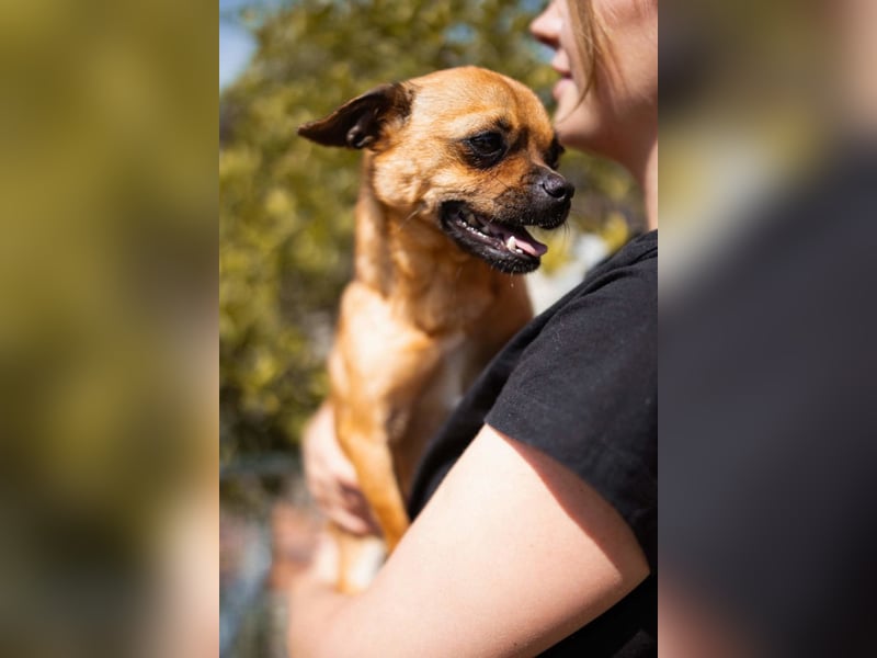 Ellie ❤️ wartet bereits in 48153 Münster auf dich!