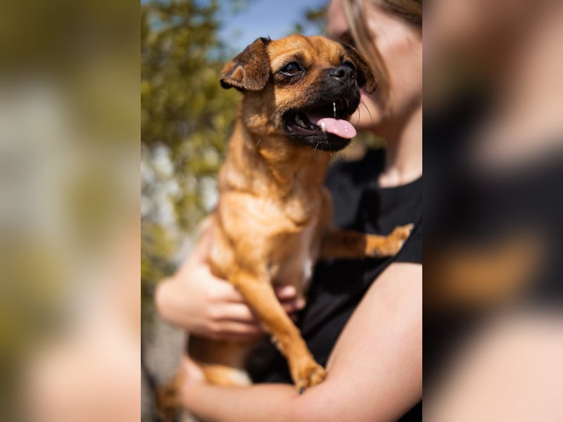 Ellie ❤️ wartet bereits in 48153 Münster auf dich!