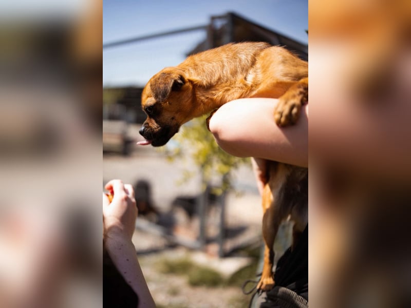 Ellie ❤️ wartet bereits in 48153 Münster auf dich!