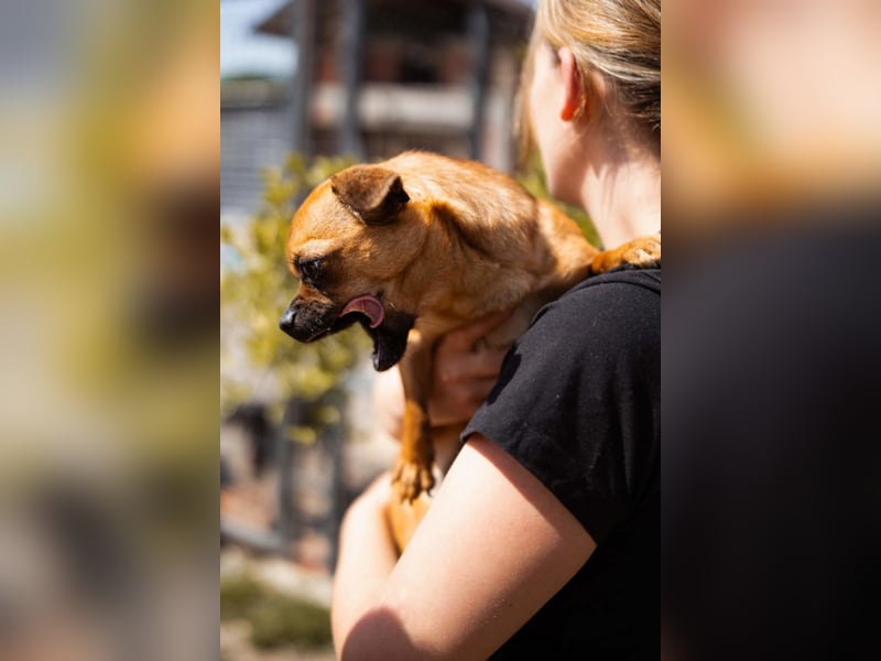 Ellie ❤️ wartet bereits in 48153 Münster auf dich!