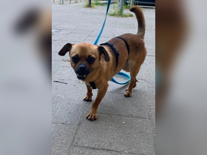 Ellie ❤️ wartet bereits in 48153 Münster auf dich!
