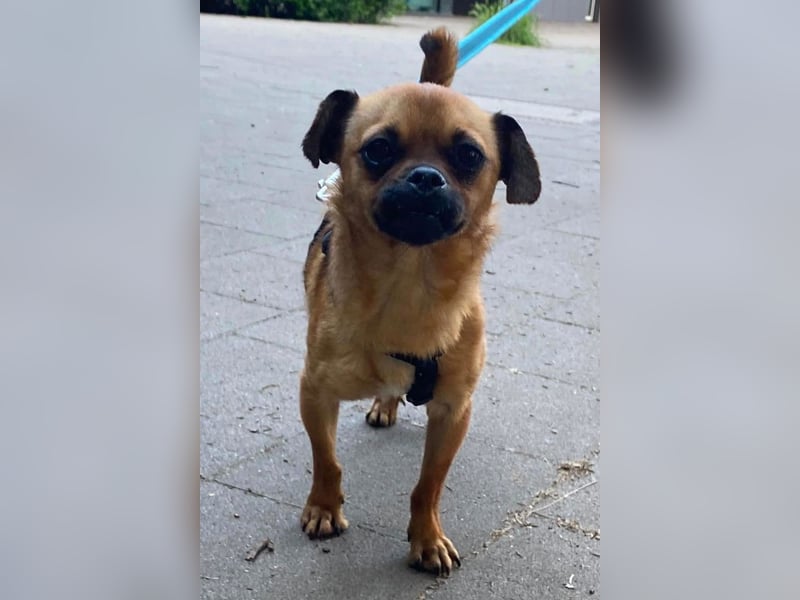 Ellie ❤️ wartet bereits in 48153 Münster auf dich!