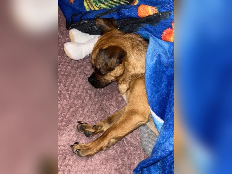 Ellie ❤️ wartet bereits in 48153 Münster auf dich!