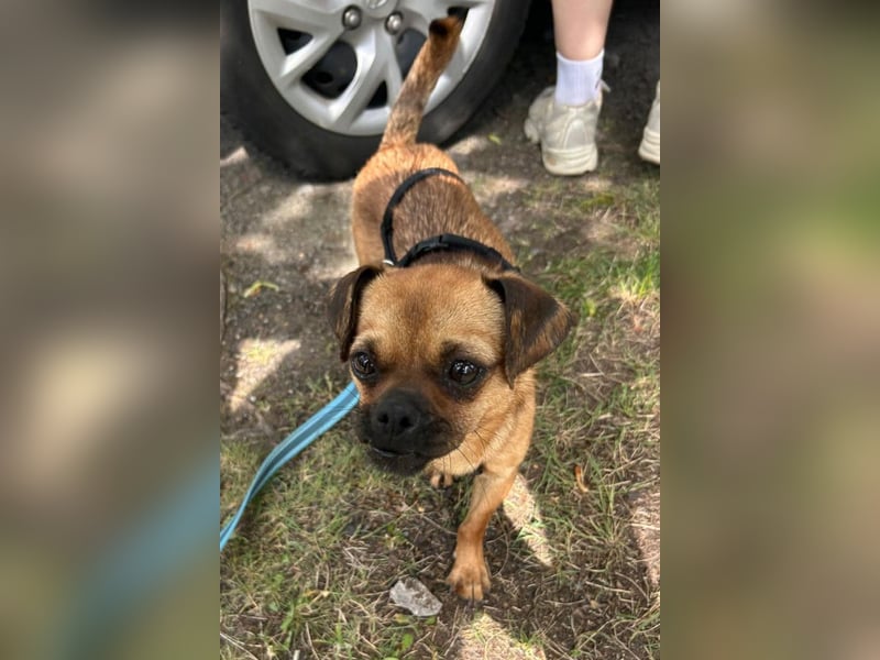 Ellie ❤️ wartet bereits in 48153 Münster auf dich!