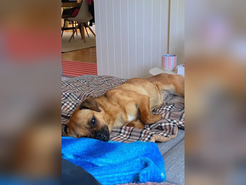Ellie ❤️ wartet bereits in 48153 Münster auf dich!