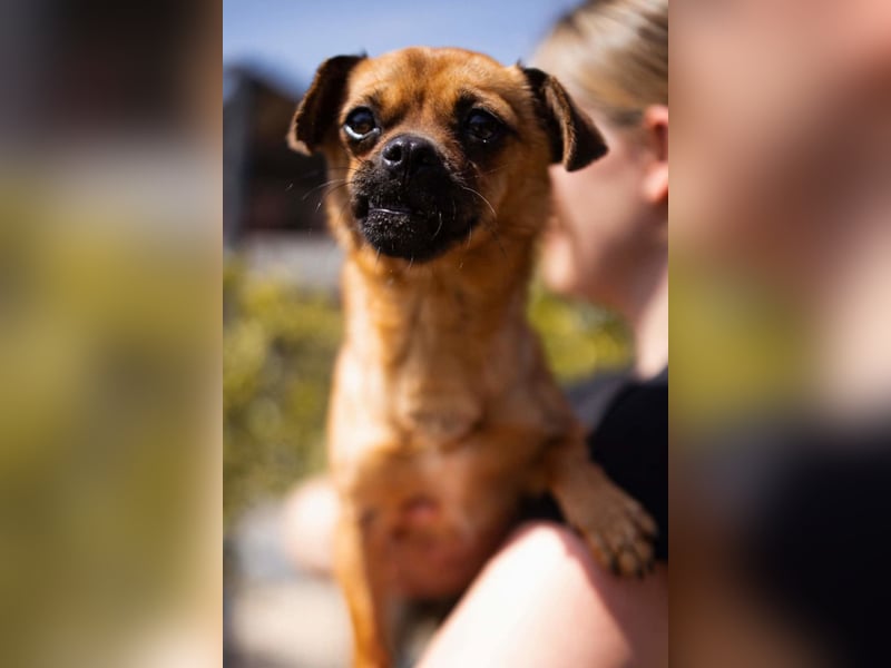 Ellie ❤️ wartet bereits in 48153 Münster auf dich!