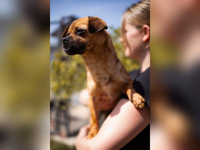 Ellie ❤️ wartet bereits in 48153 Münster auf dich!