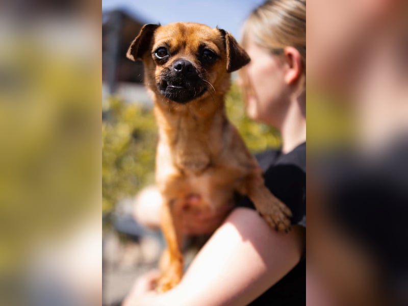Ellie ❤️ wartet bereits in 48153 Münster auf dich!
