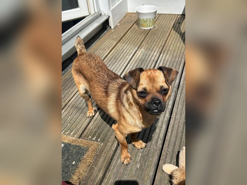 Ellie ❤️ wartet bereits in 48153 Münster auf dich!