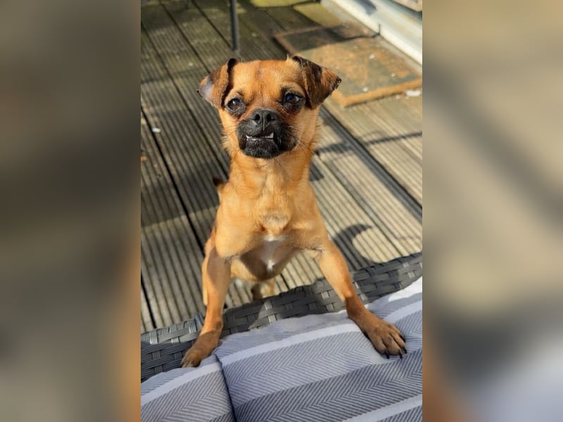 Ellie ❤️ wartet bereits in 48153 Münster auf dich!