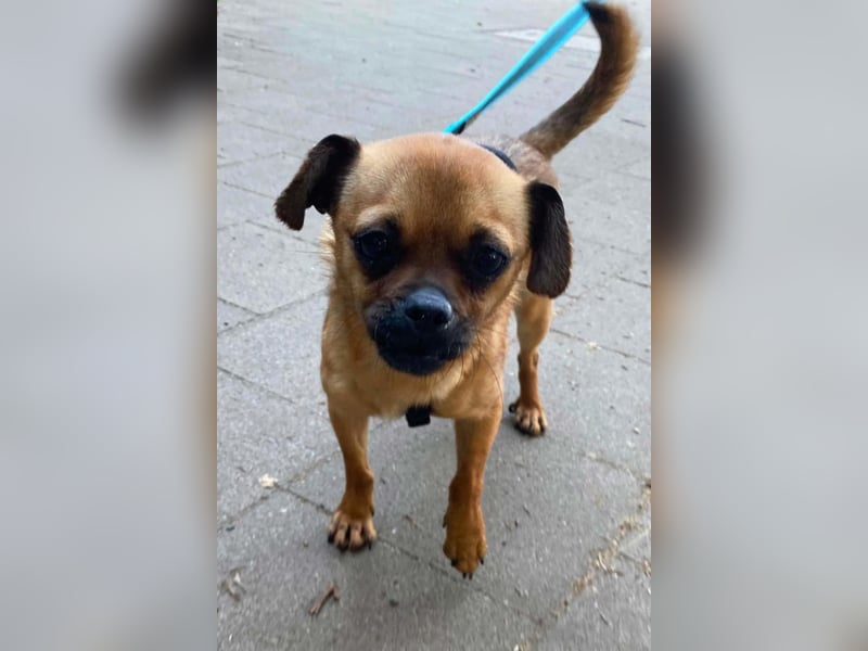 Ellie ❤️ wartet bereits in 48153 Münster auf dich!