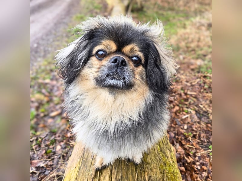 Maik - braucht Sicherheit