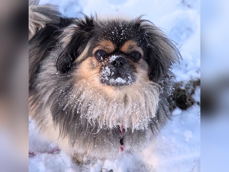 Maik - braucht Sicherheit