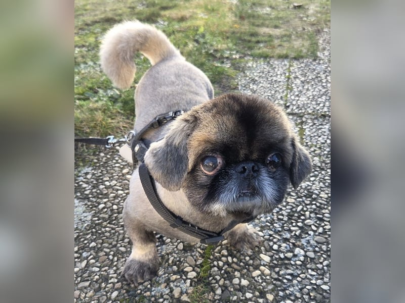 Jonny sucht ein ruhiges Plätzchen
