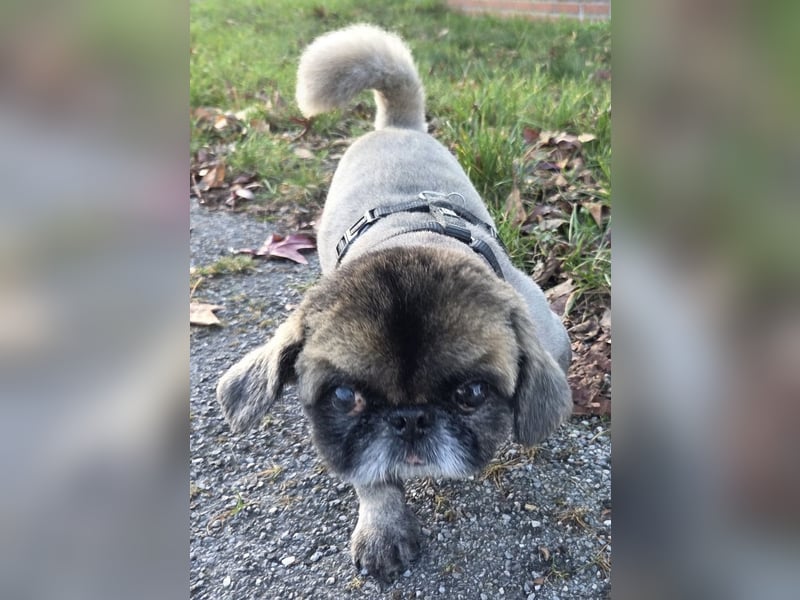 Jonny sucht ein ruhiges Plätzchen
