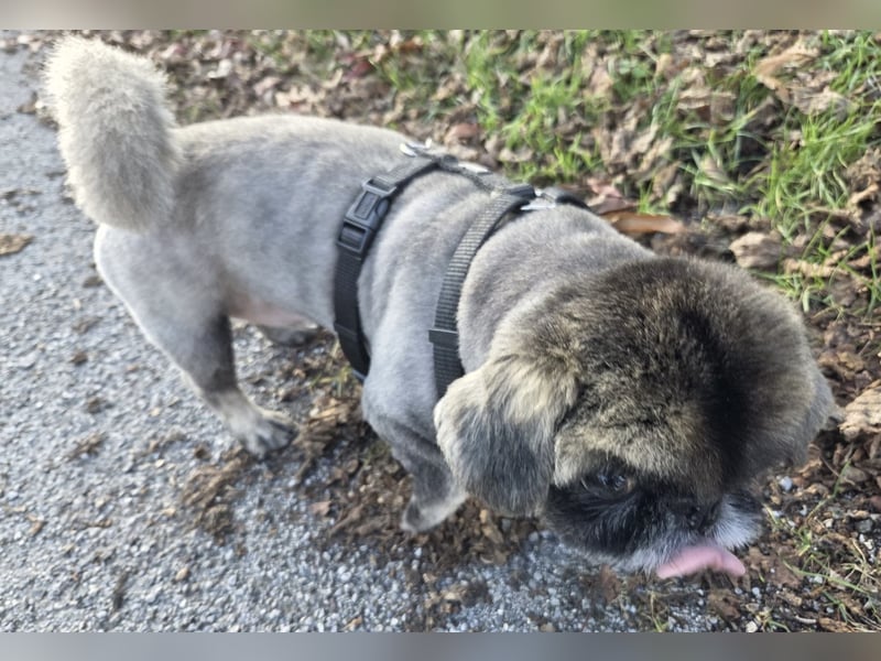 Jonny sucht ein ruhiges Plätzchen