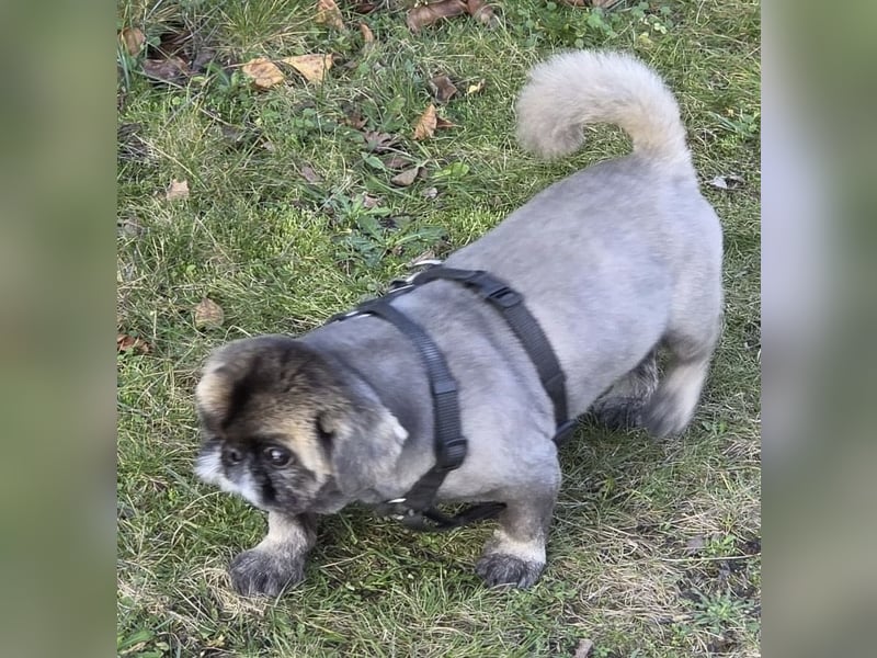 Jonny sucht ein ruhiges Plätzchen