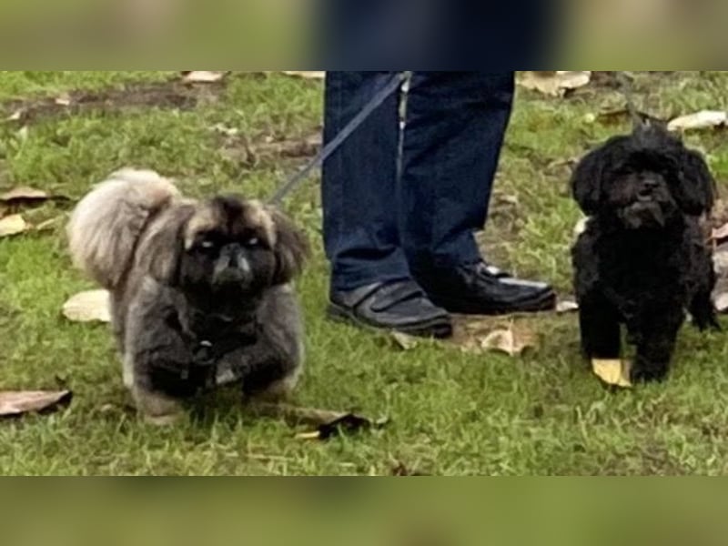 Jonny sucht ein ruhiges Plätzchen