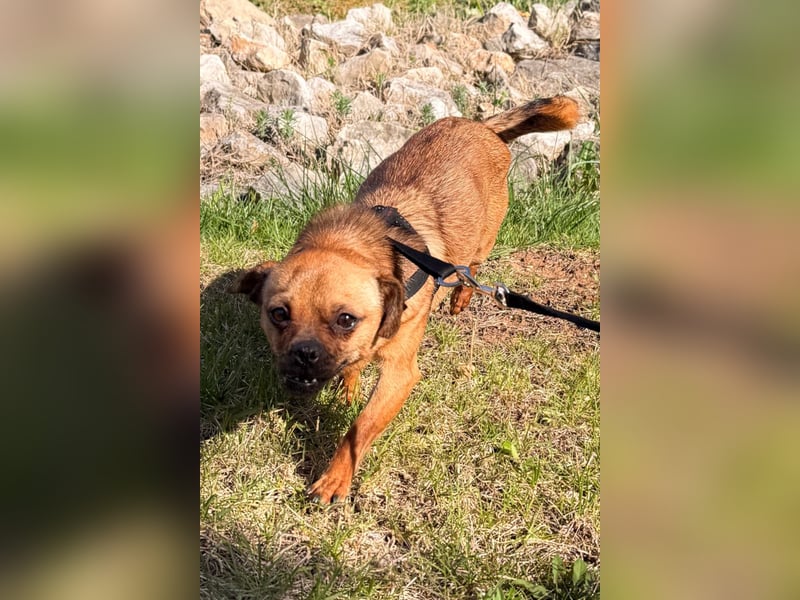 Ellie ❤️ wartet bereits in 48153 Münster auf dich!