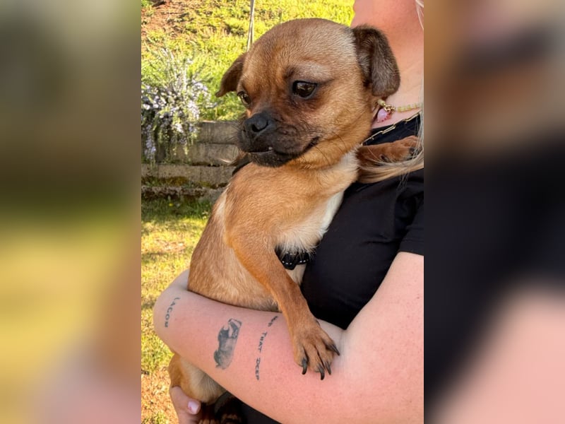 Ellie ❤️ wartet bereits in 48153 Münster auf dich!