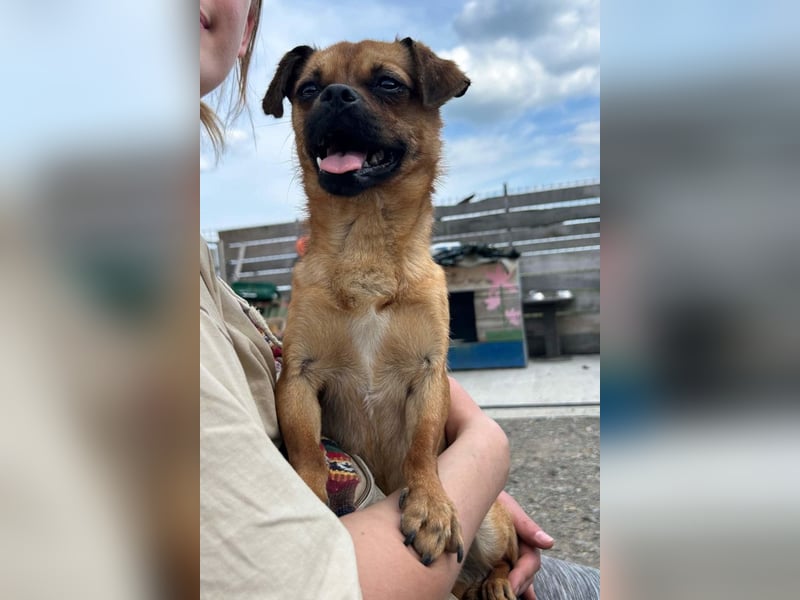 Ellie ❤️ wartet bereits in 48153 Münster auf dich!