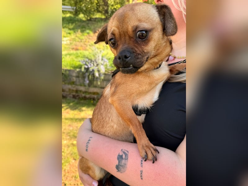 Ellie ❤️ wartet bereits in 48153 Münster auf dich!
