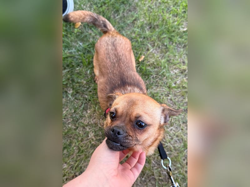 Ellie ❤️ wartet bereits in 48153 Münster auf dich!
