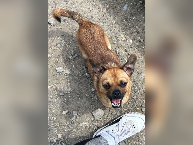 Ellie ❤️ wartet bereits in 48153 Münster auf dich!
