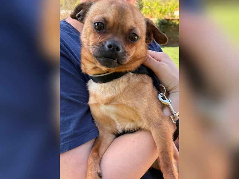 Ellie ❤️ wartet bereits in 48153 Münster auf dich!