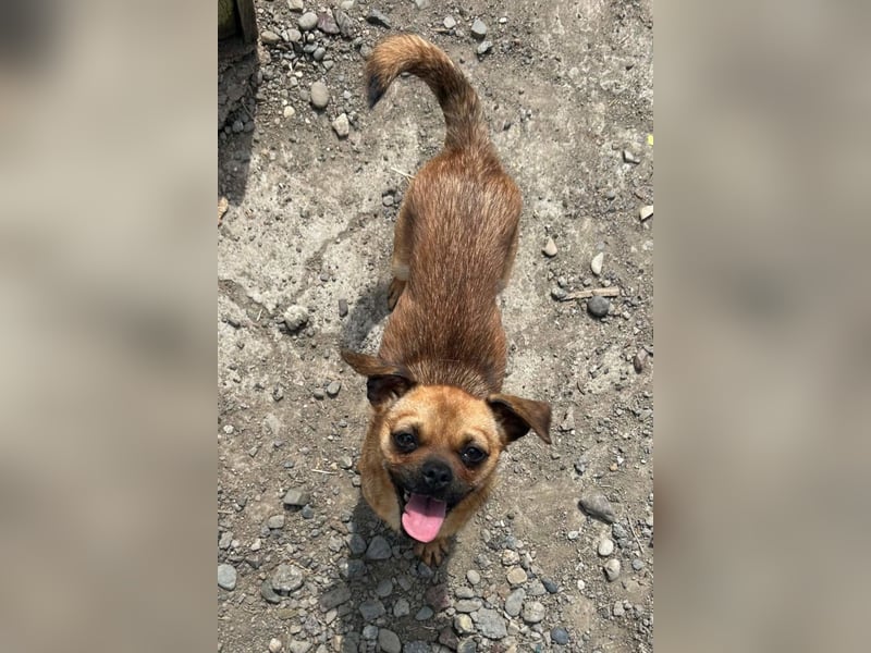 Ellie ❤️ wartet bereits in 48153 Münster auf dich!