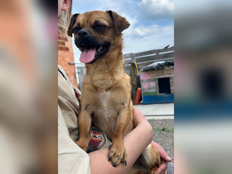 Ellie ❤️ wartet bereits in 48153 Münster auf dich!