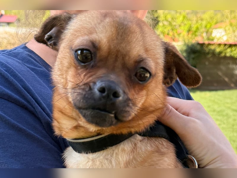 Ellie ❤️ wartet bereits in 48153 Münster auf dich!