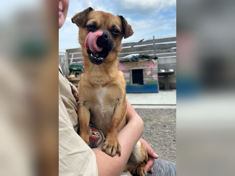 Ellie ❤️ wartet bereits in 48153 Münster auf dich!