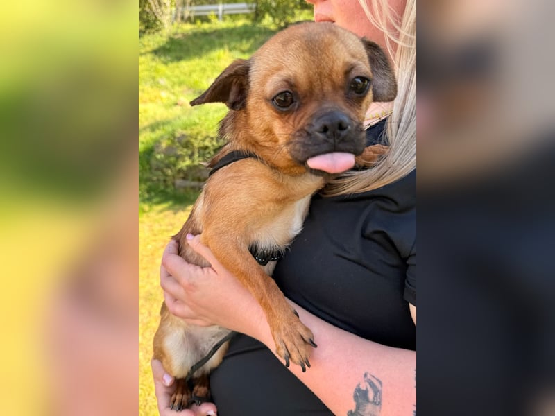 Ellie ❤️ wartet bereits in 48153 Münster auf dich!