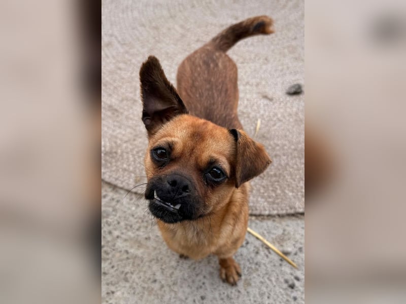 Ellie ❤️ wartet bereits in 48153 Münster auf dich!