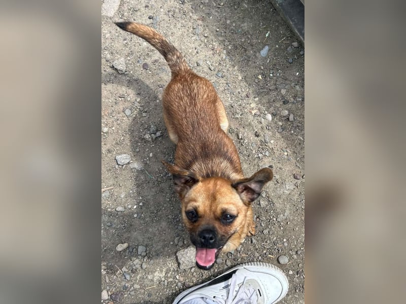 Ellie ❤️ wartet bereits in 48153 Münster auf dich!