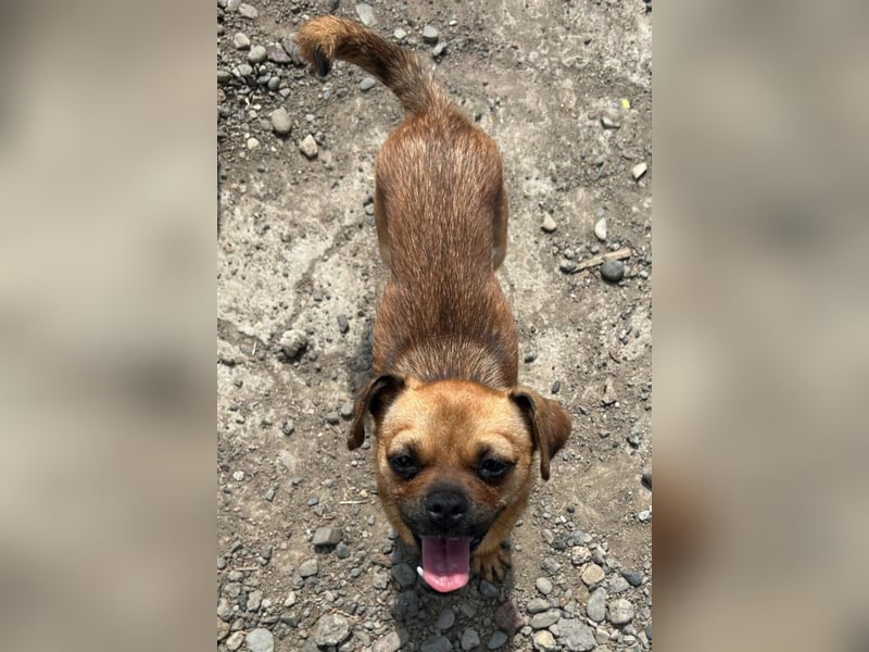 Ellie ❤️ wartet bereits in 48153 Münster auf dich!