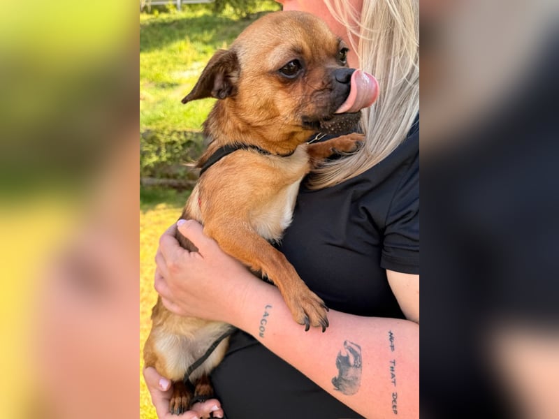 Ellie ❤️ wartet bereits in 48153 Münster auf dich!