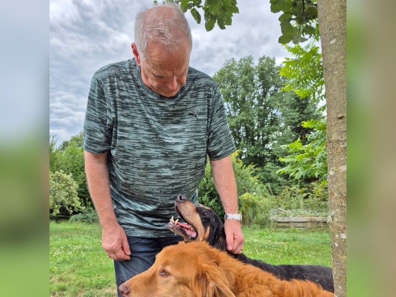 Sasa - sucht dringend ein neues Zuhause