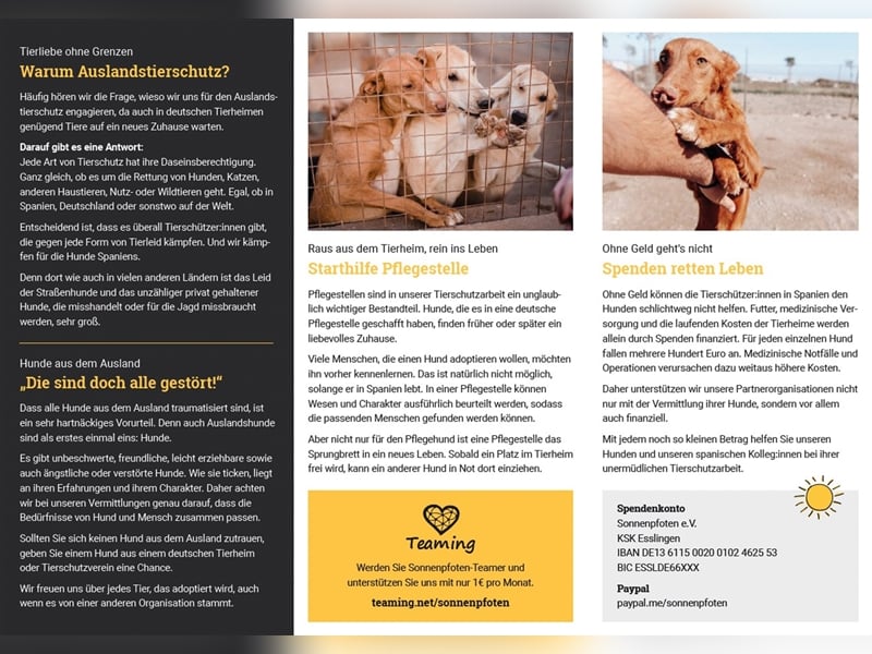 PFLEGESTELLEN GESUCHT !!!