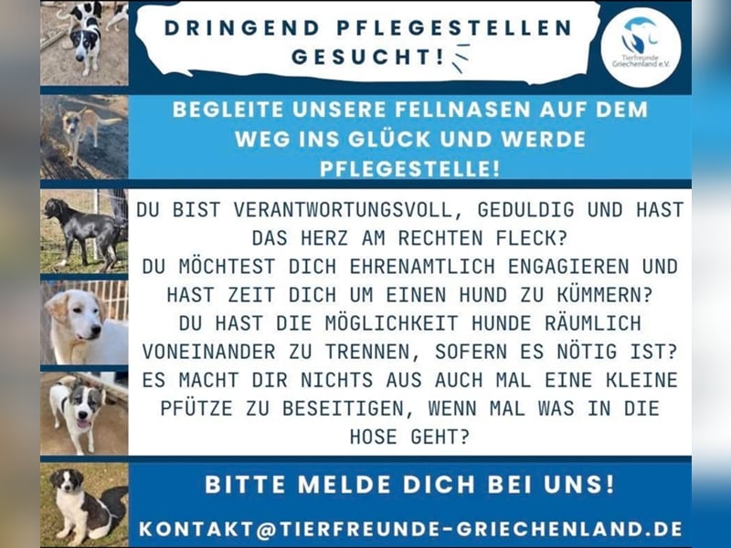 Pflegestellen gesucht!