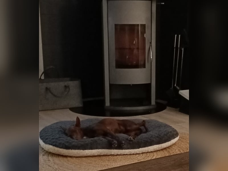 Lovely - fröhlich, unbekümmert, verschmust